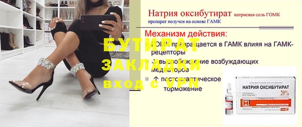 хмурый Пересвет