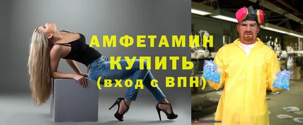дживик Сосновый Бор