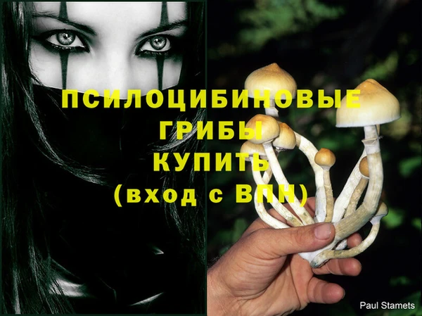 твердый Нязепетровск
