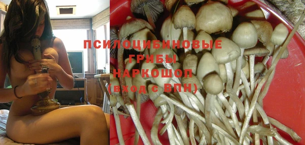 а пвп мука Няндома