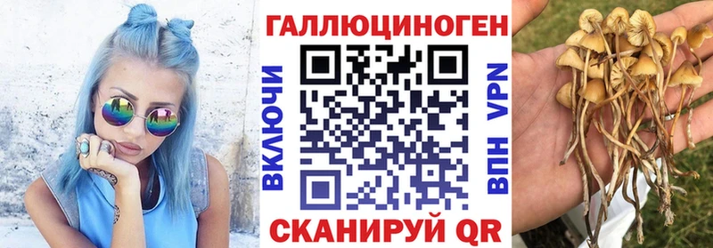 даркнет официальный сайт  Невельск  Псилоцибиновые грибы прущие грибы 
